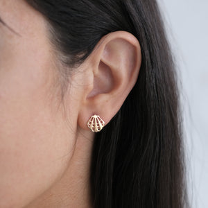 Shell Earrings